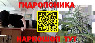 спиды Краснодар