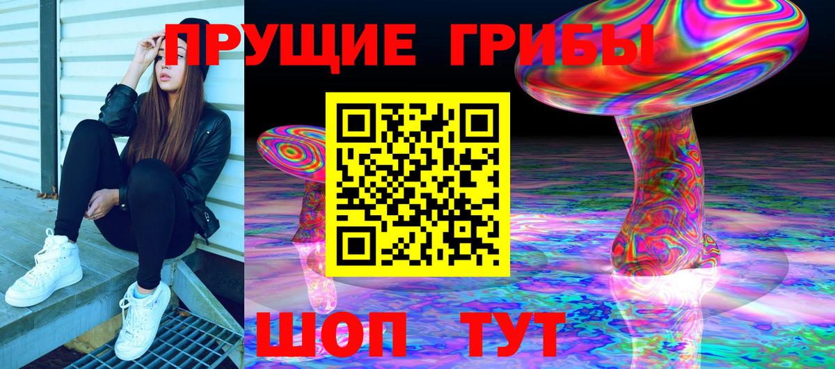 Переславль-Залесский  Псилоцибиновые грибы Psilocybine cubensis  Вход с VPN 